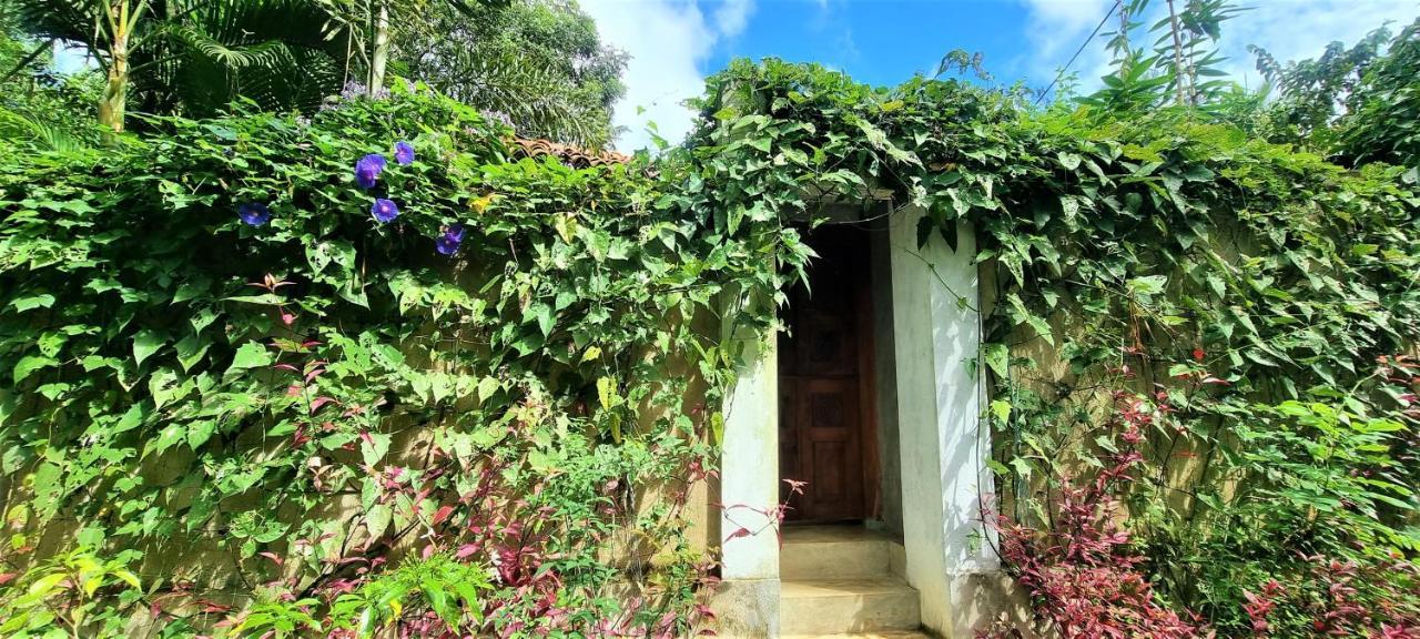 Sand Dollar House, Hiriketiya Dikwella Sur Exterior foto